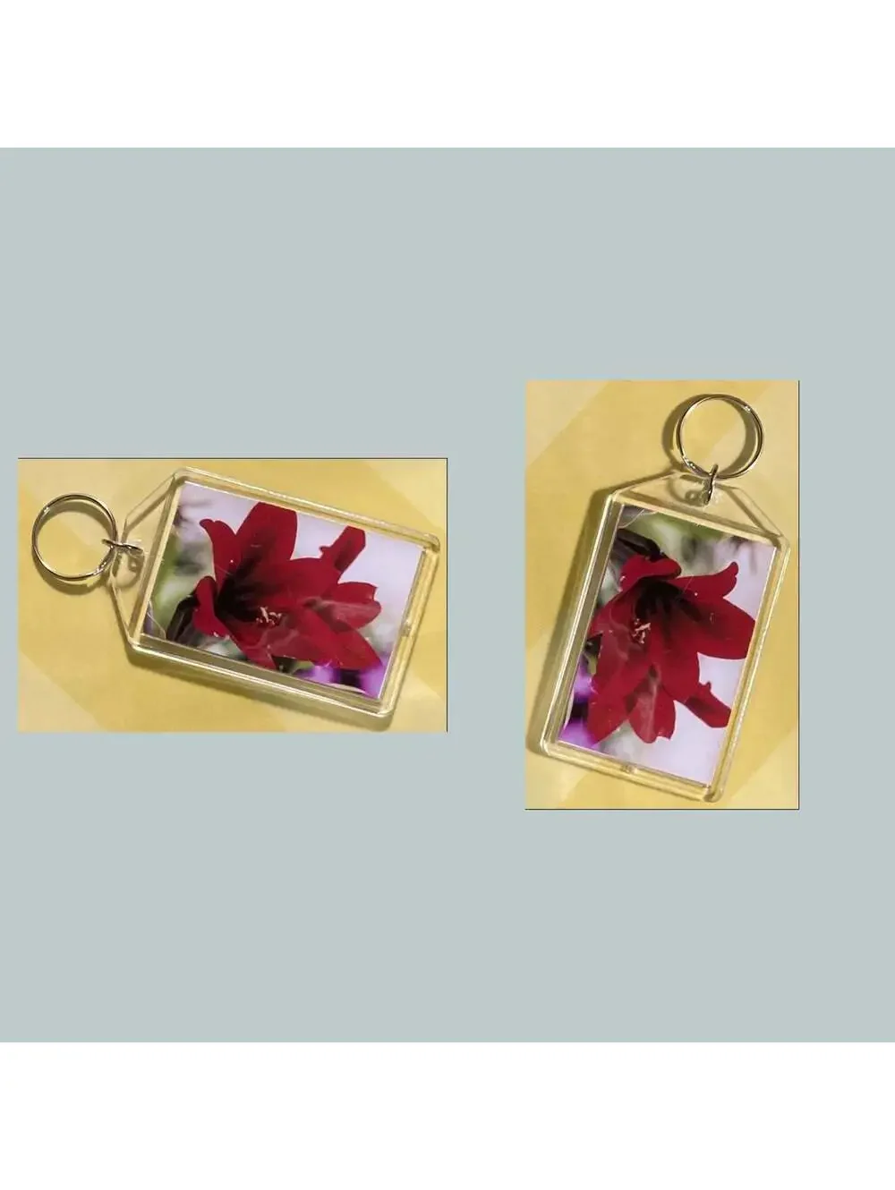 3684 Amaryllis Acrylic Keychain | Floral Keychain | Flower Lover Gift
